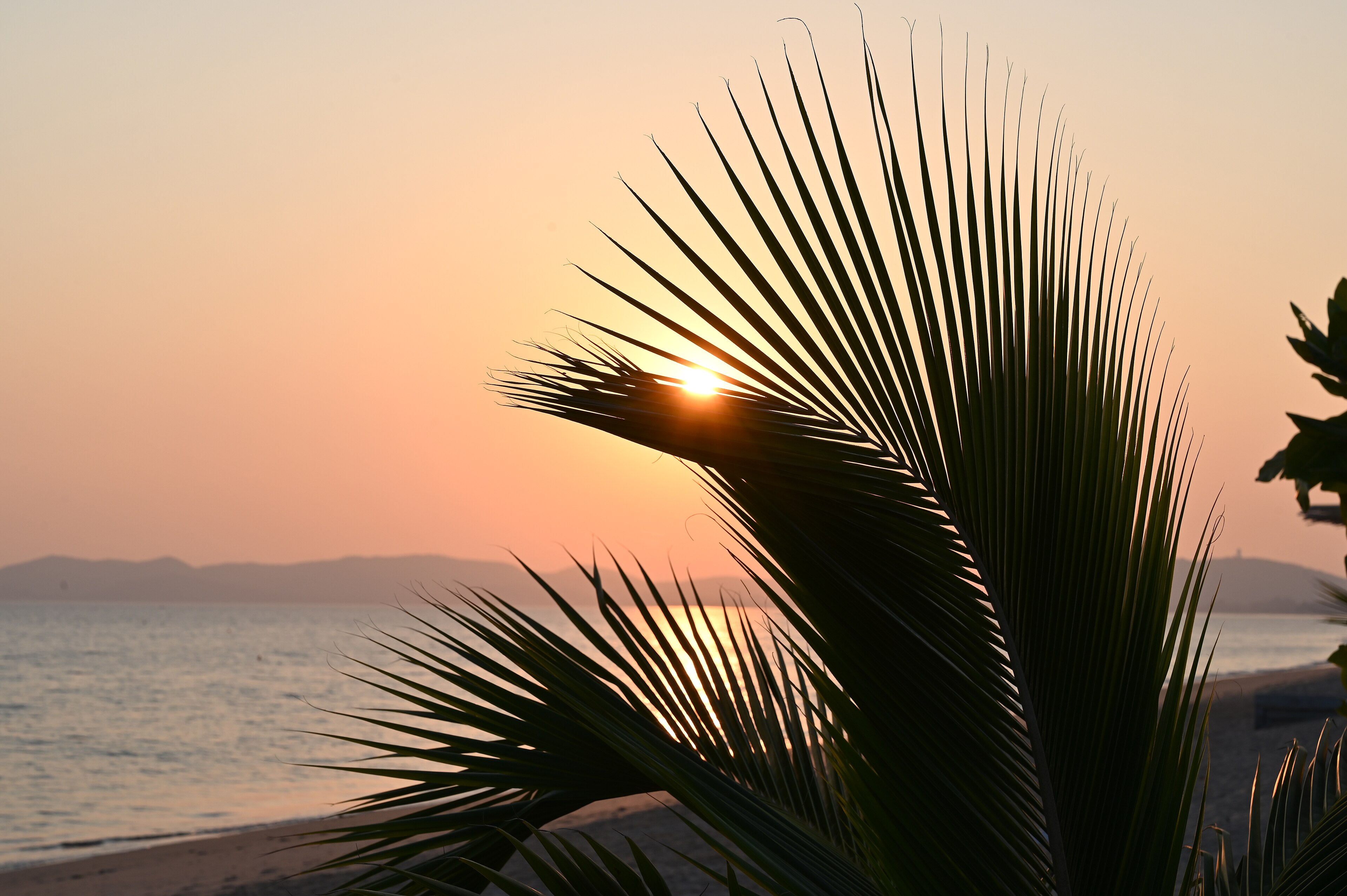 Sunset through the palms over the sea on an island walk