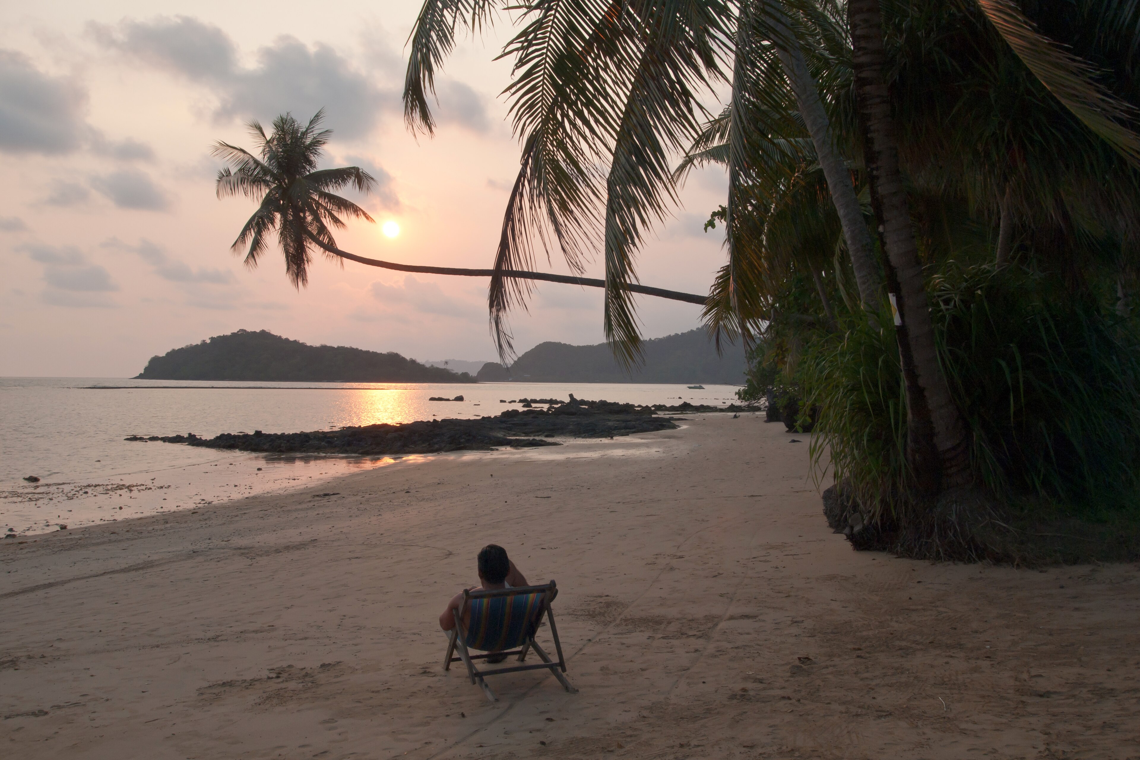 A white-sand beach lined with palms
